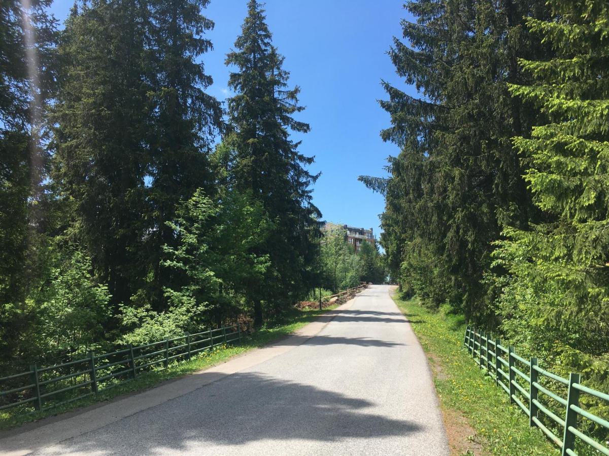Apartman S Vyhladom Na Stity Ovruc 312 Štrbské Pleso Exteriör bild